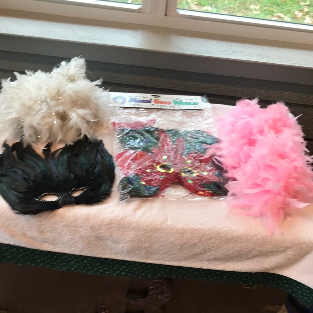 Mardi Gras Masks & Boas Bundle